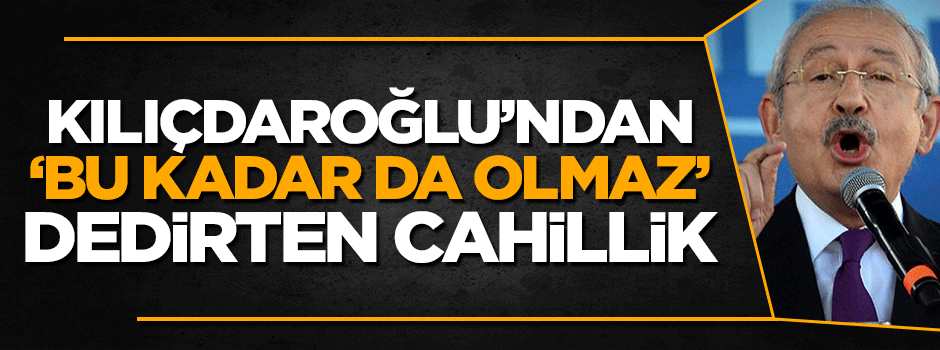 Kemal Kılıçdaroğlu'ndan 'bu kadar da olmaz' dedirten 'çift başlılık' cehaleti