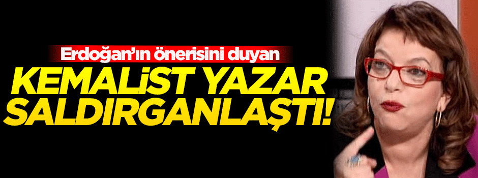 Kemalist yazar yine kin kustu!