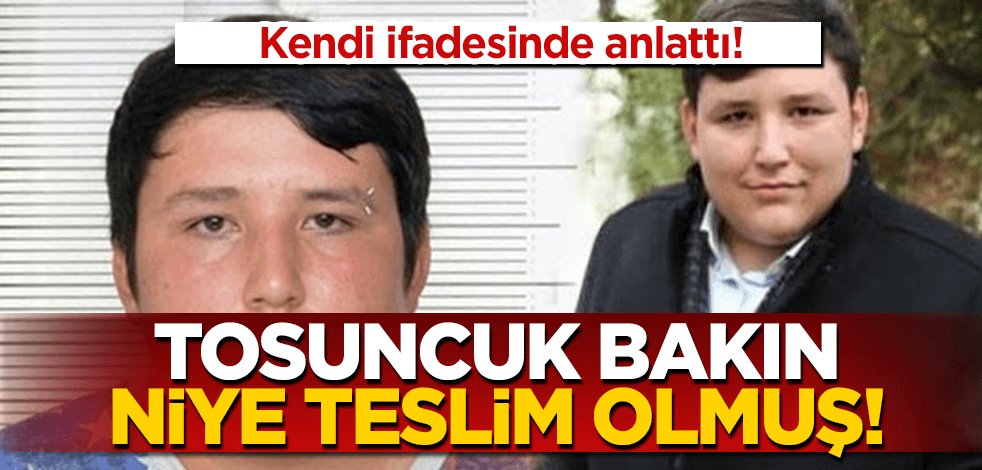 Kendi ifadesinde anlattı! Tosuncuk bakın niye teslim olmuş!