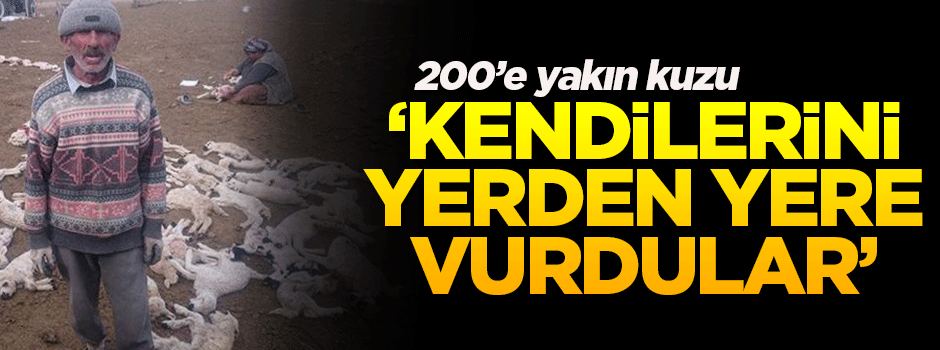 Çobanoğlu: Kendilerini yerden yere vurdular