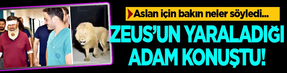 Kendisine saldıran aslana hakkını helal etti: Bir suçu yok