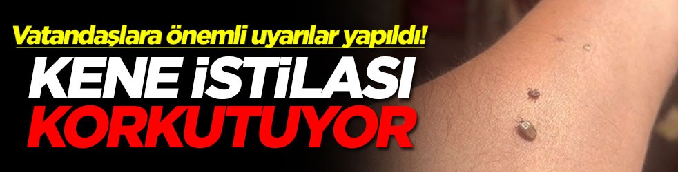 Kene istilası korkutuyor! Vatandaşlara önemli uyarılar yapıldı