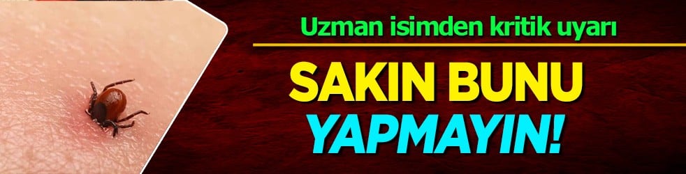 Kene uyarısı: Sakın bunu yapmayın... Uzman isimden kritik uyarı