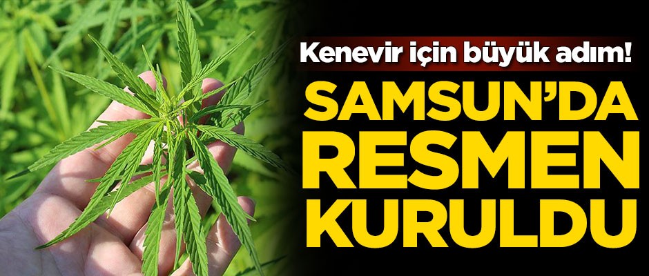 Kenevir için büyük adım! Resmen kuruldu