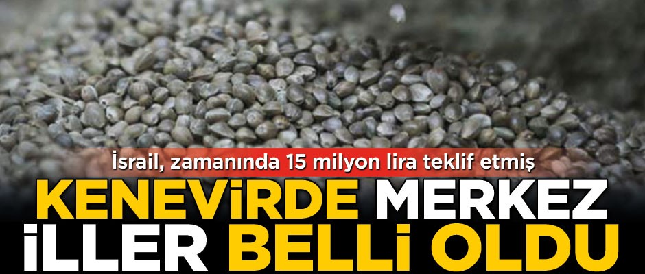 Kenevir tohumu üretiminde merkez iller belli oldu