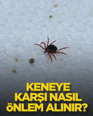 Keneye karşı nasıl önlem alınır?