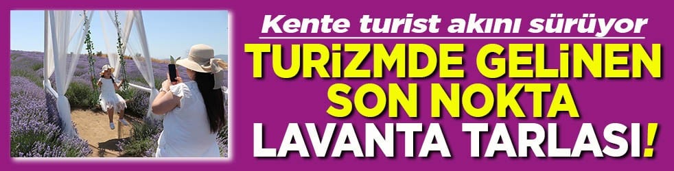 Kente turist akını sürüyor Turizmde gelinen son nokta lavanta tarlası!