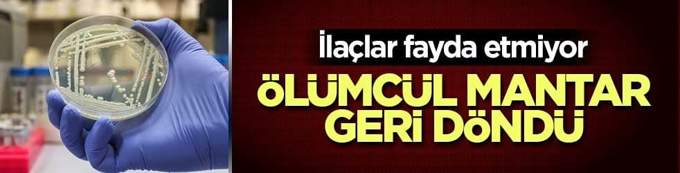 Kenya’da dört ilaç grubuna dirençli mantar tespit edildi