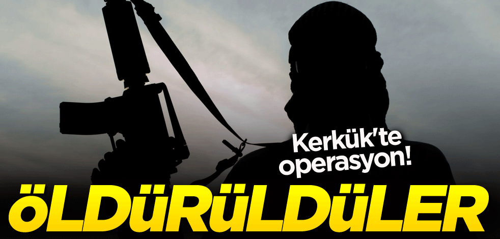 Kerkük'te operasyon! Öldürüldüler