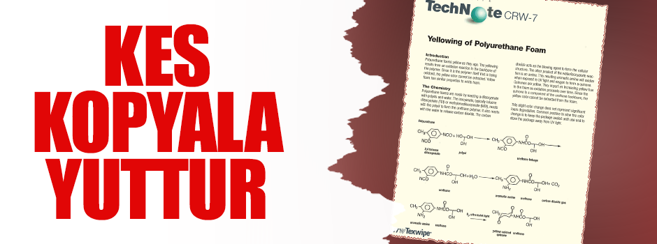 Kes, kopyala, yuttur