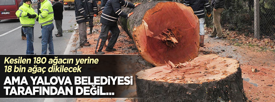 Kesilen 180 ağacın yerine 18 bin ağaç