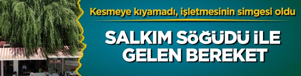 Kesmeye kıyamadı, işletmesinin simgesi oldu! Salkım söğüdü ile gelen bereket