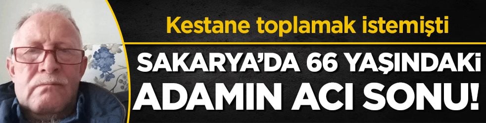 Kestane toplamak istemişti: Sakarya'da 66 yaşındaki adamın acı sonu!
