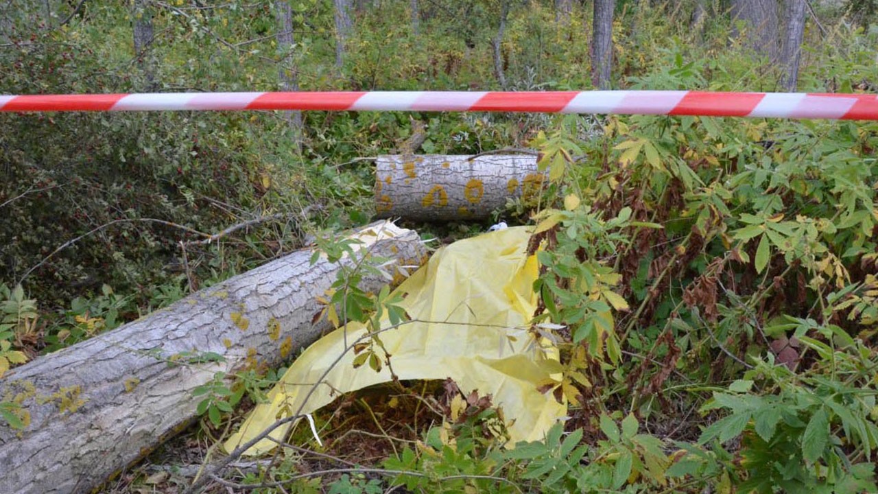 Kestiği ağacın altında kalan kişi öldü