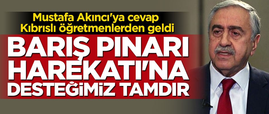 Kıbrıslı öğretmenlerden "Barış Pınarı Harekatı"na destek