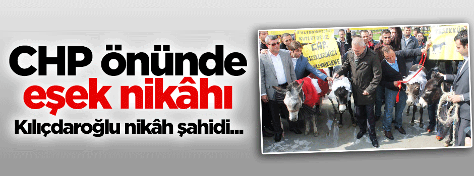 Kılıçdaroğlu eşeklere nikah şahidi olsun istediler