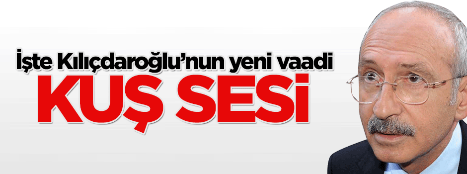 Kılıçdaroğlu, İstanbullulara 'kuş sesi' vaat etti