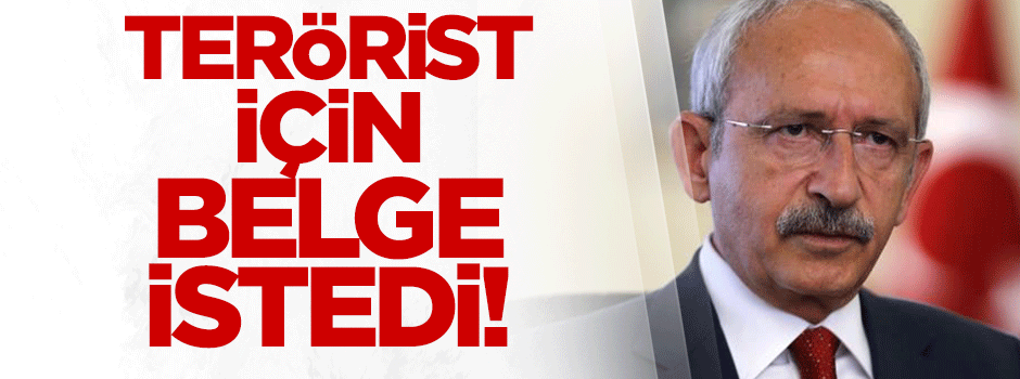 Kılıçdaroğlu SİHA ve Tanrıkulu hakkında konuştu