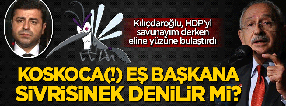 Kılıçdaroğlu'ndan Demirtaş'a sivrisinek benzetmesi!