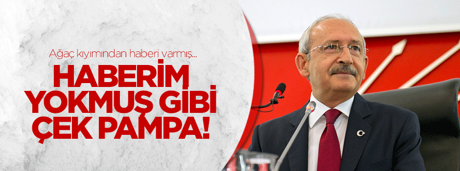 Kılıçdaroğlu'nun ağaç kıyımından haberi varmış