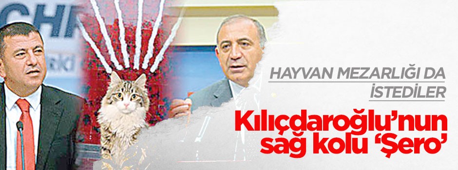 Kılıçdaroğlu’nun sağ kolu ‘Şero’