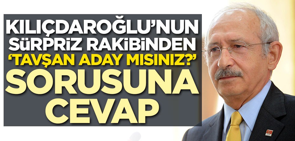 Kılıçdaroğlu'nun sürpriz rakibinden 'Tavşan aday mısınız?' sorusuna cevap