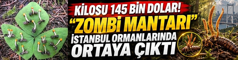 Kilosu 145 bin dolar! 