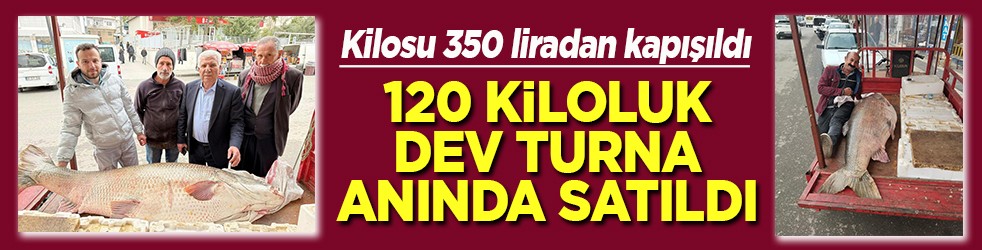 Kilosu 350 liradan kapışıldı 120 kiloluk dev turna anında satıldı