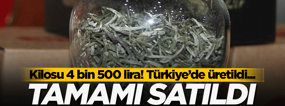 Kilosu 4 bin 500 lira! Tamamı satıldı...