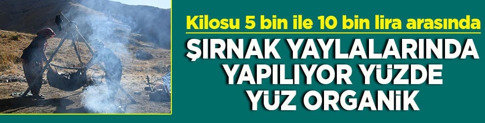 Kilosu 5 bin ile 10 bin lira arasında Şırnak yaylalarında yapılıyor yüzde yüz organik