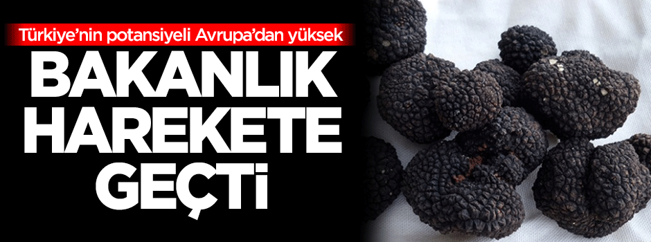 Kilosu servet değerinde