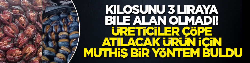 Kilosunu 3 liraya bile alan olmadı! Üreticiler çöpe atılacak ürün için müthiş bir yöntem buldu