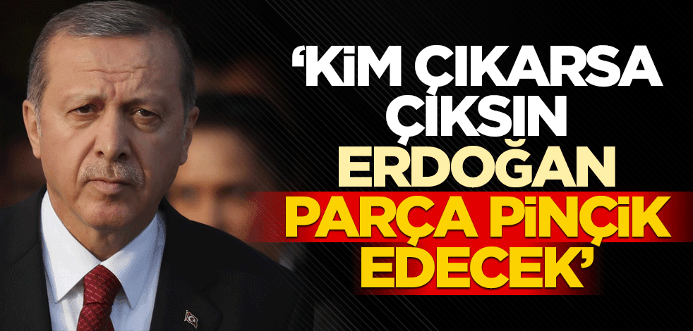 "Kim çıkarsa çıksın sayın Cumhurbaşkanı parça pinçik edecek"