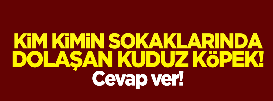 Kim kimin sokaklarında dolaşan kuduz köpek?