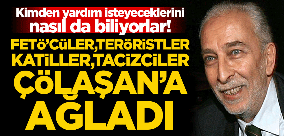 Kimden yardım isteyeceklerini nasıl da biliyorlar! FETÖ'cüler, teröristler, katiller, tacizciler Emin Çölaşan'a ağladı