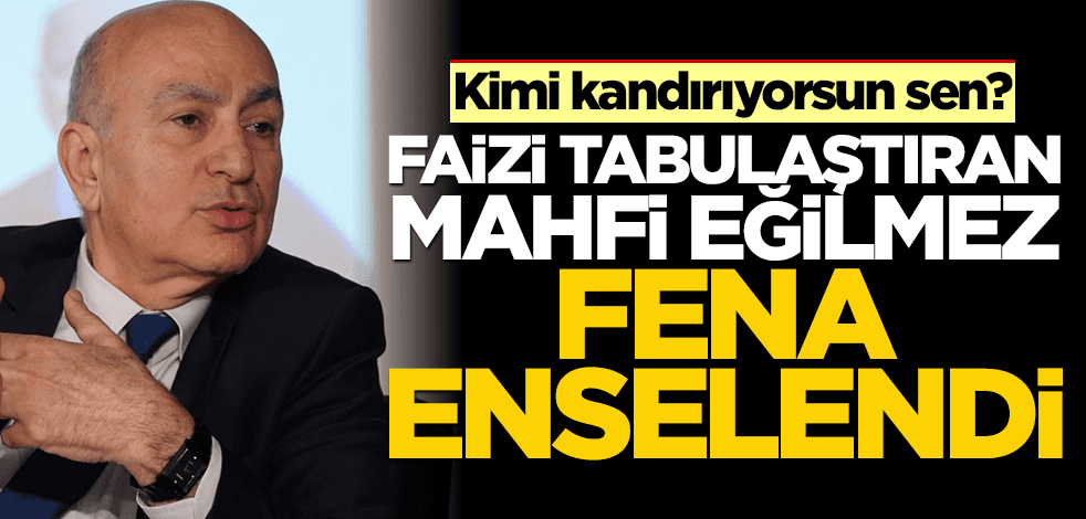 Kimi kandırıyorsun sen? Faizi tabulaştıran Mahfi Eğilmez fena enselendi