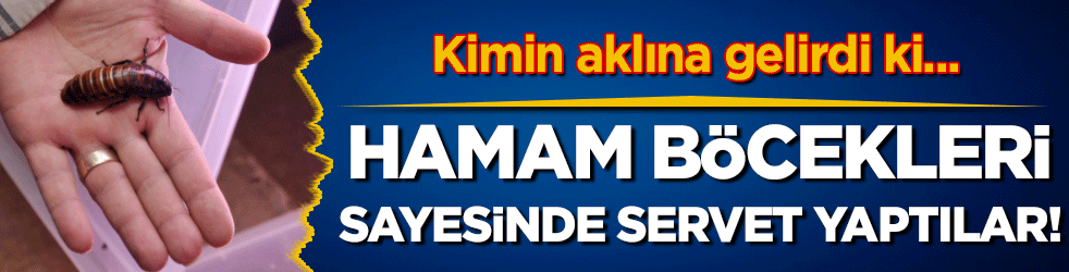 Kimin aklına gelir ki...Hamam böcekleri sayesinde servet yaptılar!