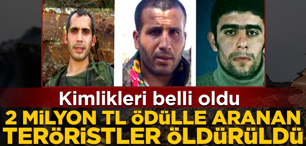 Kimlikleri belli oldu! 2 milyon TL ödülle aranan teröristler etkisiz hale getirildi