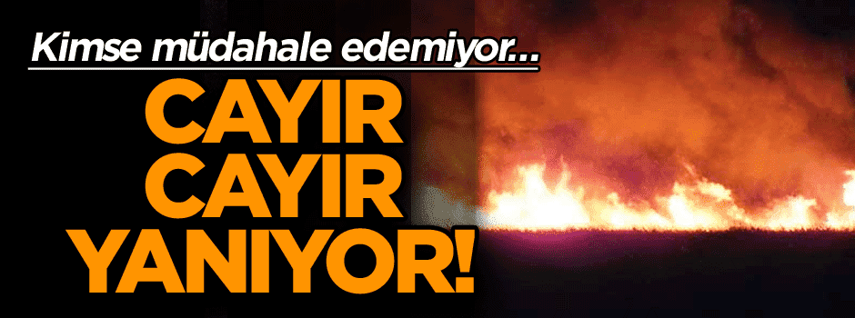 Kimse müdahale edemiyor… Cayır Cayır yanıyor!