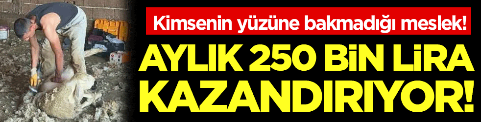 Kimsenin yüzüne bakmadığı meslek: Aylık 250 bin lira kazandırıyor!