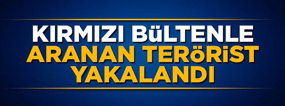 Kırmızı bültenle aranan DEAŞ'lı terörist ertelendi