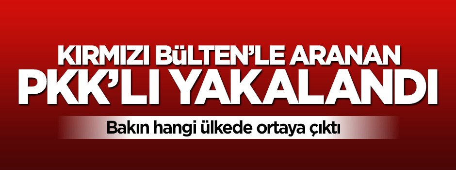 Kırmızı Bülten'le aranan PKK'lı İspanya'da yakalandı