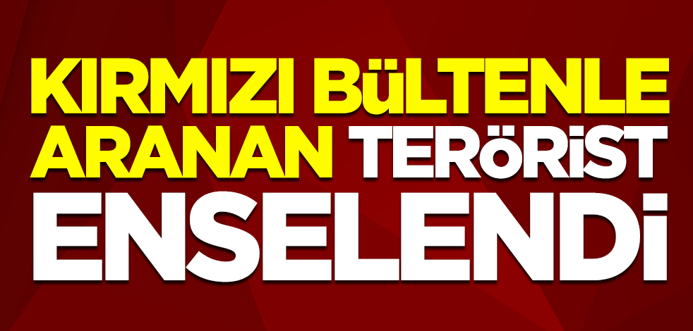 Kırmızı bültenle aranan PKK'lı terörist, enselendi