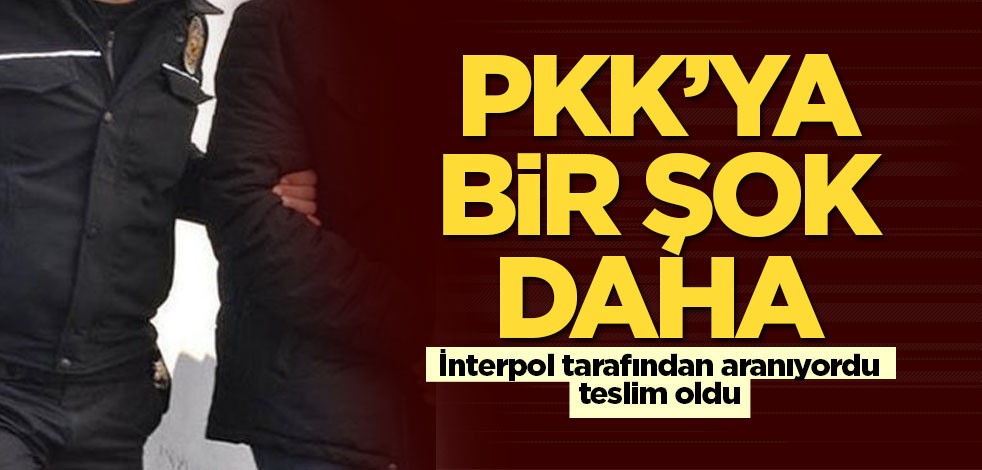 Kırmızı bültenle aranan PKK'lı teröristler teslim oldu