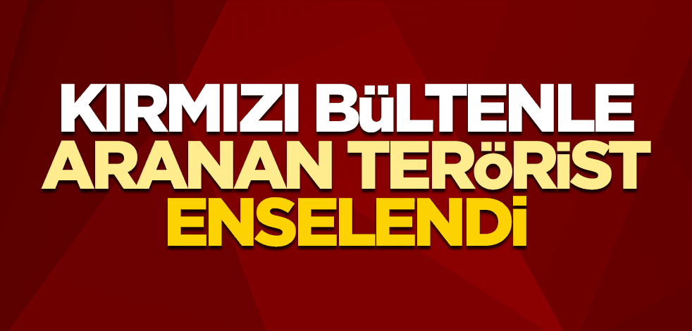 Kırmızı bültenle aranan terörist yakalandı