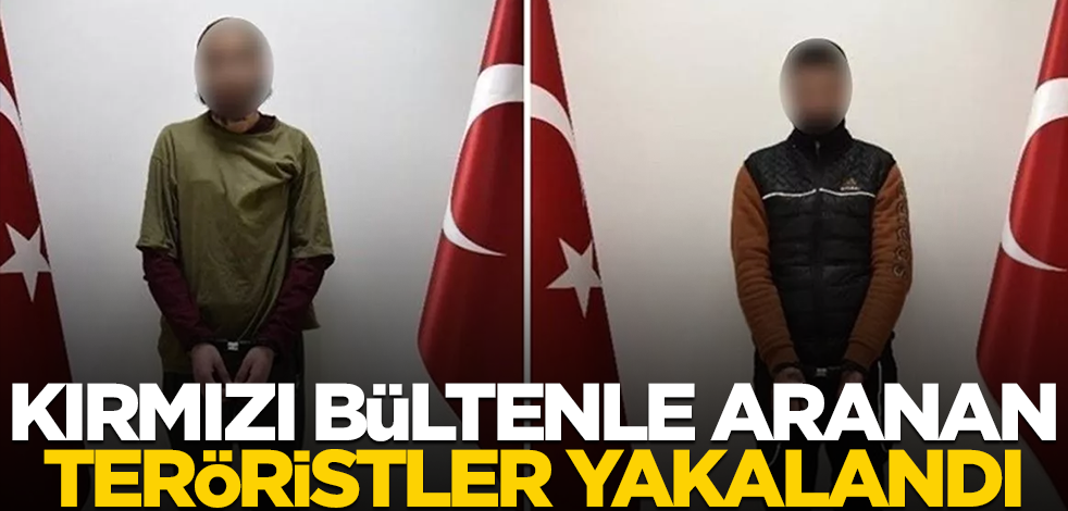 Kırmızı bültenle aranan teröristler enselendi