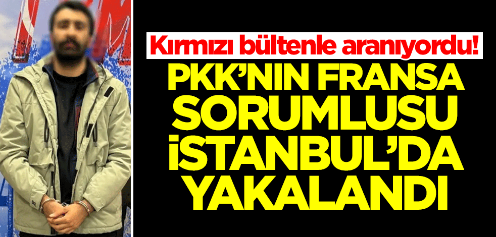 Kırmızı bültenle aranıyordu! PKK'lı terörist İstanbul'da yakalandı