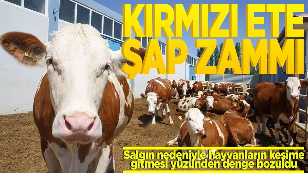 Kırmızı ete şap zammı
