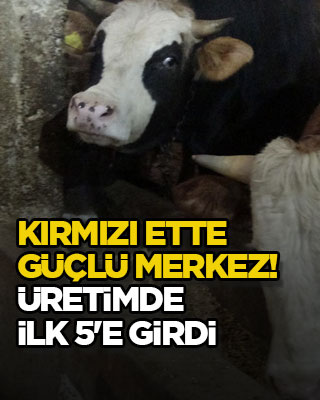Kırmızı ette güçlü merkez! Üretimde ilk 5'e girdi
