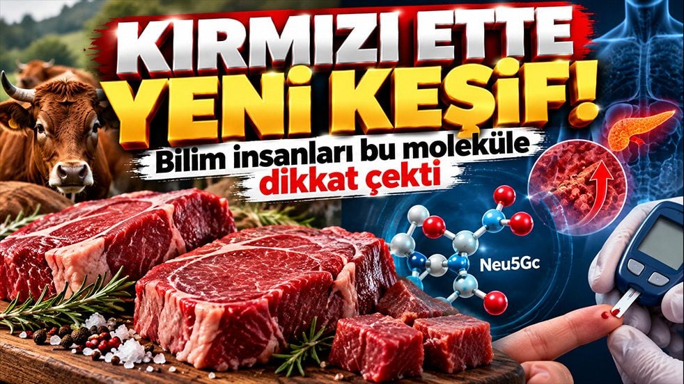 Kırmızı ette yeni keşif! Bilim insanları bu moleküle dikkat çekti